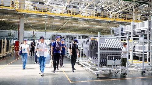 科技吉利4.0引領(lǐng)安全品質(zhì)新標(biāo)準(zhǔn) 探訪熊貓mini品質(zhì)工廠的網(wǎng)絡(luò)科技研發(fā)之路