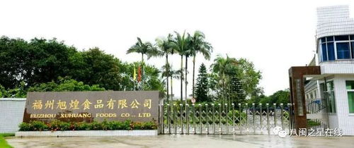 金獎(jiǎng)企業(yè)旭煌食品 巧用科技助力，讓魚丸的國際旅程更遠(yuǎn)